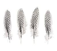 Plume motif de zèbre 20/22cm x4 - rayher Blanc G