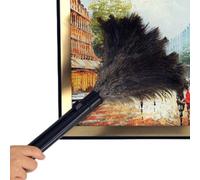 Plumeau À Main Pour Le Nettoyage - Plume Télescopique En ABS, Dépoussiéreur Haute Densité, Outil Portable Léger, Dépoussiérage | Idéal Pour L'électronique De Meubles De Bureau De Voiture À Do