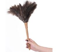 Plumeau duveteux en plumes d'autruche naturelles avec manche en bois, outil de nettoyage ménager