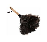 Plumeau en plumes d'autruche sans effort, mini plumeau avec capacité de capture de poussière, lavable pour une utilisation continue, manche