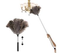 Plumeau en plumes d'autruche extensible pour nettoyer les plafonds hauts et les placards - 120 cm