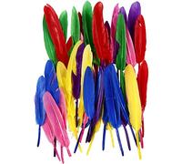 Plumes