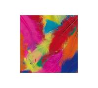Plumes Assortiment De Couleurs 250 G