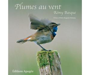 Plumes au vent Preface d'allain bougrain-dubourg - Rémy Basque - Apogee - relié - Beau livre