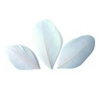 Plumes - Blanc - 3g NA G
