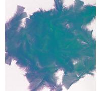 Plumes Blanches 250g