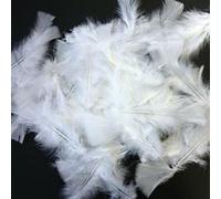Plumes blanches 250g - graine créative Blanc G