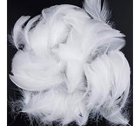 Plumes Blanches,300 PCS Plume Loisirs Creatifs Naturelles Décorations Plumes pour Bricolage Capteurs de Rêves Chapeaux Costume Fête à la Maison Décorations Mariage 8-12CM