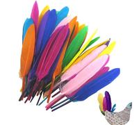 Plumes Bulk Craft - Lot de 50 plumes colorées pour travaux manuels, attrape-rêves, décoration de bijoux, plumes de prune