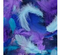 Plumes Colorées - 10 Gr