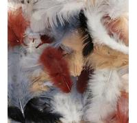 Plumes Colorées - 10 Gr