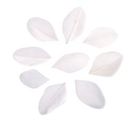 Plumes Coupées, Blanc, 5 - 6cm, 36 Pièces
