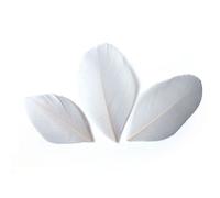 Plumes Coupées Blanches 6cm 3g