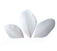 Plumes Coupées Blanches 6cm 3g