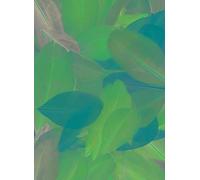 Plumes Coupées Camaieu Beige 10g 6cm