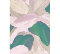 Plumes Coupées Camaieu Chocolat 10g 6cm