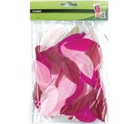 Plumes coupées camaieu rose 10g 6cm - graine créative Rose G