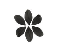 Plumes coupées - GRAINE CREATIVE - Noir - 100 pièces - 4/6/10 cm - Naturelles