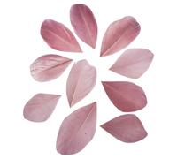 Plumes Coupées Rose Antique 5-6 Cm 36 Pièces
