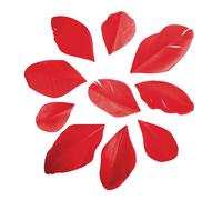 Plumes Coupées Rouge Classique 5-6 Cm 36 Pièces