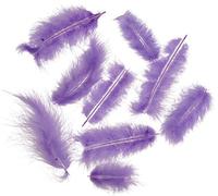 Plumes courtes 30g violet clair pour la décoration, les loisirs créatifs & le bricolage
