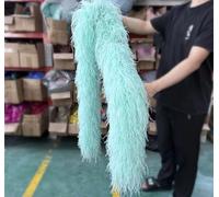 Plumes D’Autruche Châle Accessoire Décoratif Couches Plume D’Autruche Naturelle Boa Châle Plumes D’Autruche écharpe pour Décoration De Robe De Mariée Boas, Mint, 1 M 10PLY