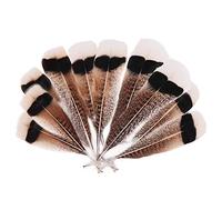 Plumes d'aigle naturelles 10-12 pouces (25-30CM) Plume de faisan de dinde d'oiseau d'aigle pour l'artisanat bricolage décoration de mariage Plumes-100pcs
