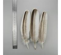 Plumes d'aigle Naturelles, 10 pièces/lot, Accessoires artisanaux, centres de Table, Grande Queue de Dinde, Plume, décoration de Coiffure Indienne, DIY