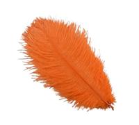 Plumes d'autruche 15-20cm, 10 pièces/lot, décoration de festival, création de bijoux, plumes colorées, accessoires artisanaux(Orange)