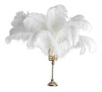 Plumes d'Autruche Blanches pour Décoration15-70cm Grande Plume d'Autruche Haut Centre de Table Carnaval Accessoires de Mariage Décoratifs-60-65cm Grand poteau, 5 Pcs