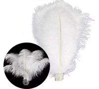 Plumes d'autruche, env. 20-30 cm, 20 pièces, blanc
