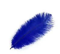 Plumes d'autruche naturelles 35-40 cm/14-16 pouces Multicolore en vrac DIY Carnaval Costumes Bohème Mariage Accessoires Cheveux Premium-Bleu royal-10 pcs