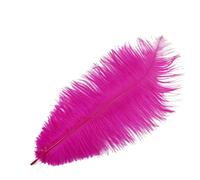 Plumes d'autruche naturelles 35-40 cm/14-16 pouces Multicolore en vrac DIY Carnaval Costumes Bohème Mariage Accessoires de cheveux Premium-Rose rouge-50 pcs