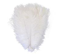 Plumes d'autruche Naturelles Panache Grandes Plumes Blanches décorations Teintes pour Fabrication de centres de Table de fête de Mariage à la Maison 10pcs