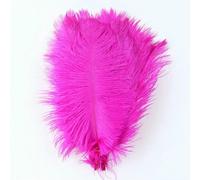 Plumes d'autruche naturelles teintes blanches en vrac, 15-20 cm, pour loisirs créatifs, mariage, décoration de fête, centre de table DIY - rose rouge, 4 à 50 pièces