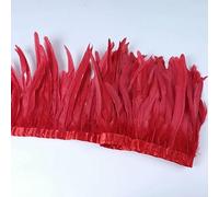 Plumes de coq 2 m, franges en plumes de queue de coq, bricolage, artisanat pour vêtements, ruban, accessoires de carnaval, rouge, 20-25 cm