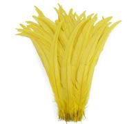 Plumes de Coq 25-40cm, 100 pièces, Vente en Gros, Artisanat de Mariage, Plumes Naturelles, Bricolage, Travail Manuel, Plume de fête, décoration de Couvre-Chef de Carnaval, Vente en Gros