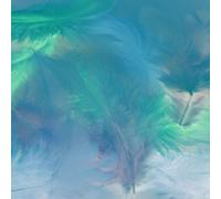 Plumes De Coq Assortiment Pastel 20 Plumes 7cm