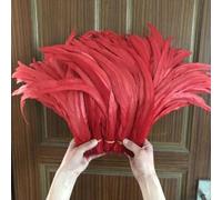 Plumes de coq blanc brut/blanc cassé, 100 pièces, longueur 25-30CM, Plumes de coq, décorations, vente en gros, rouge, vente en gros