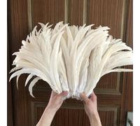 Plumes de coq blanc brut/blanc cassé, 100 pièces, longueur 25-30CM, Plumes de queue de coq, décorations, vente en gros, blanc, vente en gros