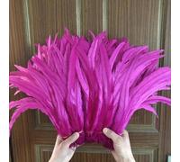 Plumes de coq blanc brut/blanc cassé, longueur 25-30CM, Plumes de coq, décorations, rose vif, vente en gros, 100 pièces