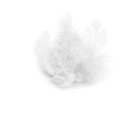 Plumes De Coq Blanche 10cm 3g