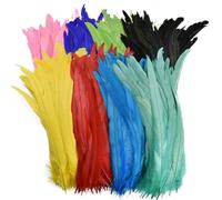 Plumes de coq colorées pour décoration de mariage, longues plumes naturelles, parfaites pour les travaux manuels et les arrangements floraux