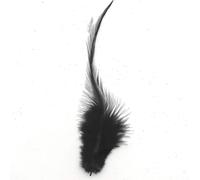 Plumes de coq, env. 10-15 cm, 50 pièces, noir