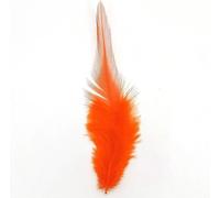 Plumes de coq, env. 10-15 cm, 50 pièces, orange