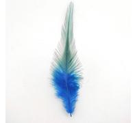 Plumes de coq, env. 10-15 cm, 50 pièces, turquoise