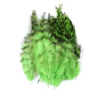 Plumes de coq et de poulet, 50 pièces, accessoires de bricolage, décoration naturelle, loisirs créatifs, matériel de montage de mouches, artisanat, plumes de cheveux, 0,6 à 3 à 5 pouces