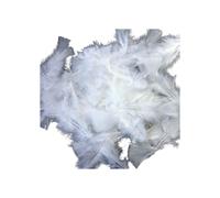 Plumes de coq - GRAINE CREATIVE - 10 cm - Blanches - 2 sachets de 30 plumes - Décoration et costumes