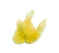 Plumes de coq - GRAINE CREATIVE - Jaunes - 10 cm - 2 sachets de 70 plumes - Décoration et création