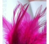 Plumes de coq roses naturelles, accessoires de décoration pour le montage de mouches, travaux d'aiguille et travaux manuels, rose rouge, 10-15 cm, 50 pièces